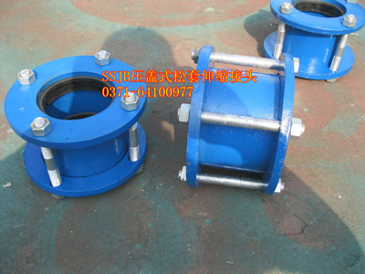 �l���V����SSJB���wʽ������s���^